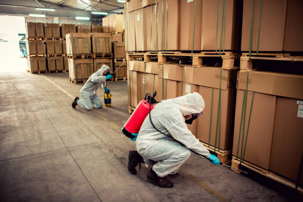 Best Flea Control Services  in Afton, MN