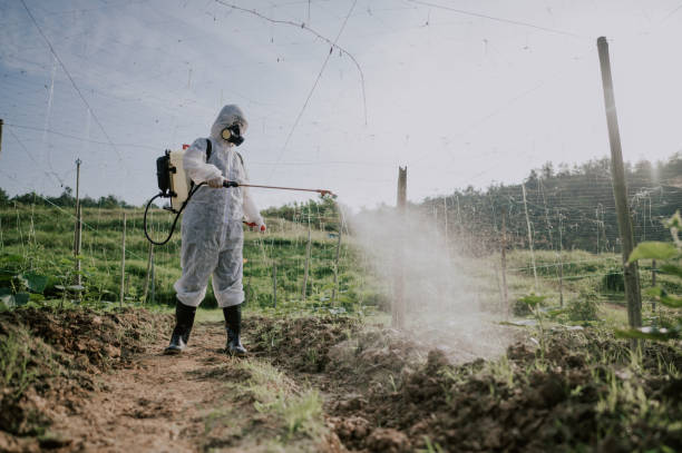 Best Mosquito Control Services  in Afton, MN