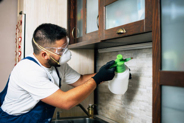 Best Residential Pest Control  in Afton, MN