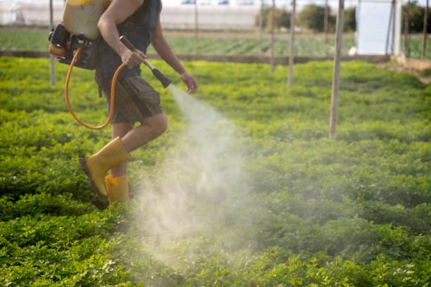 Best Best Pest Control Companies  in Afton, MN