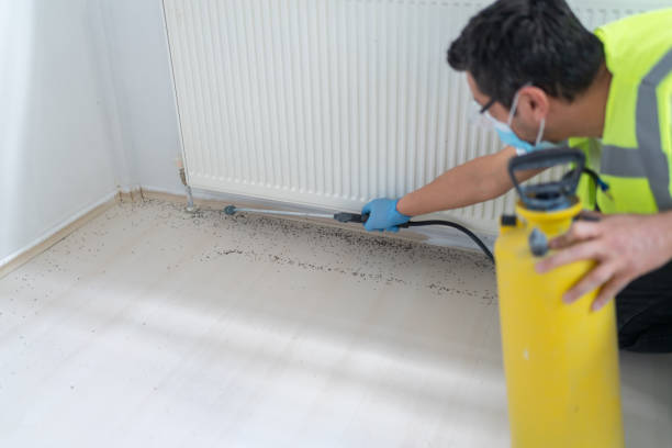 Best Ant Control Services  in Afton, MN