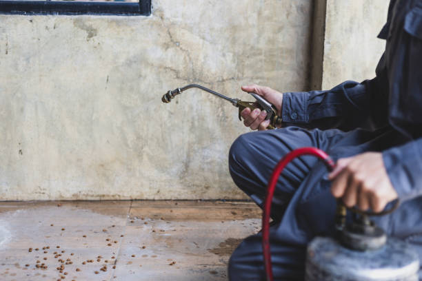 Best Exterminator Services  in Afton, MN