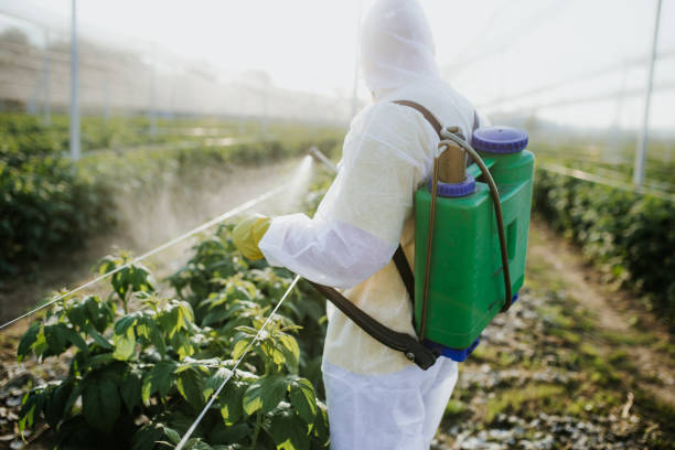 Best Pest Control for Restaurants  in Afton, MN